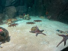 -福州罗源湾海洋世界旅游区