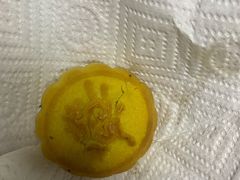 -嘉麟楼