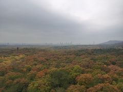 -灵谷景区