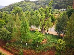 -云南艺术学院(呈贡校区)