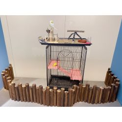 -Moni星球萌宠·小马宝莉·灵蛇·高端高阶全萌宠互动体验俱乐部(红豆国际广场店)
