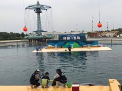 -秦皇岛乐岛海洋王国