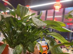 -一烙锅(友谊店)