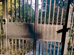 -火炉山森林公园