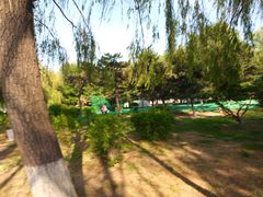-丁香湖公园