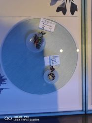 -中国黄金(北京旗舰店)