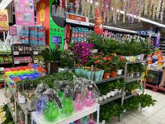 -家乐福(川沙店)