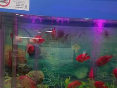 -雅悦齿科(顾村公园店)