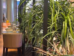 -THE WOODS 简餐 (国贸商城店)