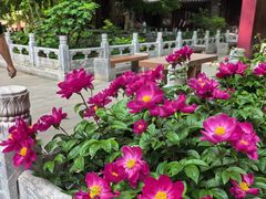 -潭柘寺景区