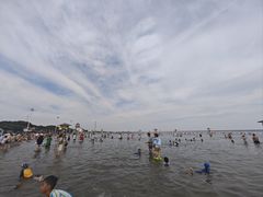 -碧海金沙
