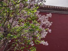 -北京市劳动人民文化宫(太庙)
