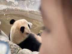 -广州长隆野生动物世界