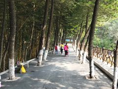 -滴水岩森林公园