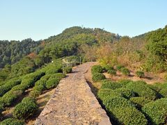 -西湖风景区十里琅珰-五云山