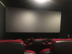 -汇金缪斯影城(八佰伴店)