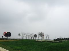 -紫颐香薰山谷景区
