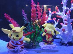 -秦皇岛乐岛海洋王国