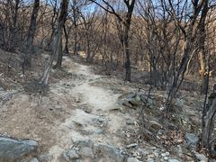 -阳台山自然风景区