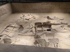 -洛阳周王城天子驾六博物馆