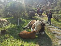 -南京市江宁方山