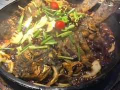 -老板恋上鱼(恒隆广场店)