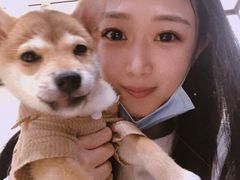 -逗柴咖啡屋·狗咖猫咖宠物桌游