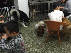 -帅帅宠物生活馆(三元路店)
