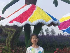 -荷兰花海