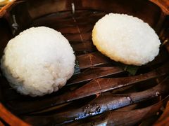 茨毛圆子-双塔老饭店