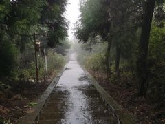 -江西阳明山国家森林公园