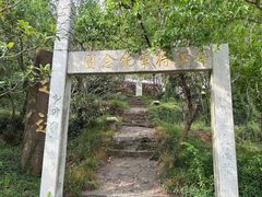 -雨花胜境