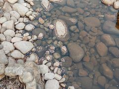 -黄贤森林公园