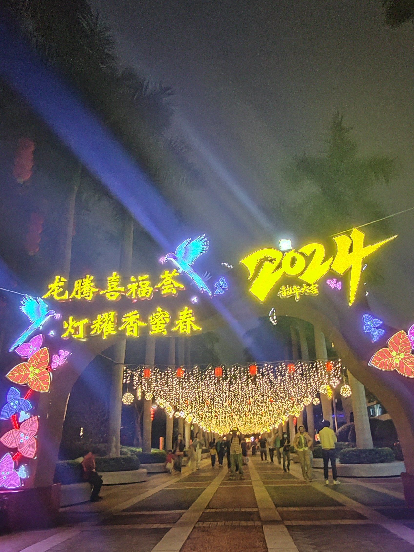 来香蜜公园,又赏花来又赏灯,元宵快来!