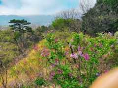 -香山公园