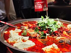 -师烤·豆花烤鱼(广州荔湾扬韬广场店)