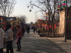 -大槐树寻根祭祖园
