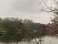 -重庆彩云湖湿地公园