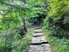 -宁波五龙潭景区