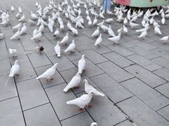 -华谊兄弟（长沙）电影小镇