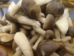 -菌海森林·非遗野生菌火锅(西山区滇池路摩根道店)