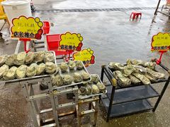 -蚝专家(北滘店)