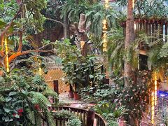 -正佳雨林生态植物园