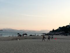 -玫瑰海岸文化旅游度假区