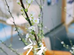 -帝京日语(春熙路旗舰校区)