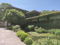 -中国茶叶博物馆(双峰馆区)