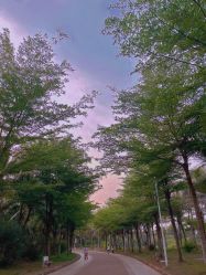 -白沙门公园游乐场