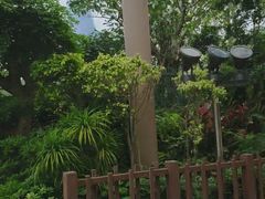 -鹦鹉过山车