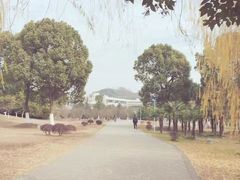 -南京邮电大学(仙林校区)