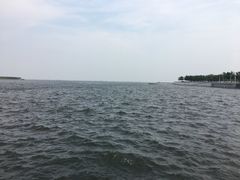 -贝林大翅鲸简餐厅(国家海洋博物馆店)